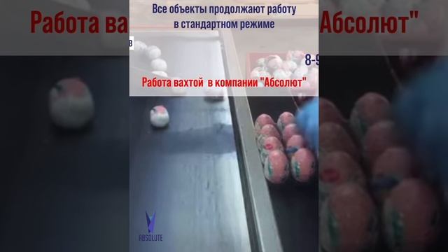 Все вакансии можно узнать в ОТДЕЛЕ КАДРОВ