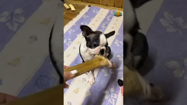 1000056625.mp4