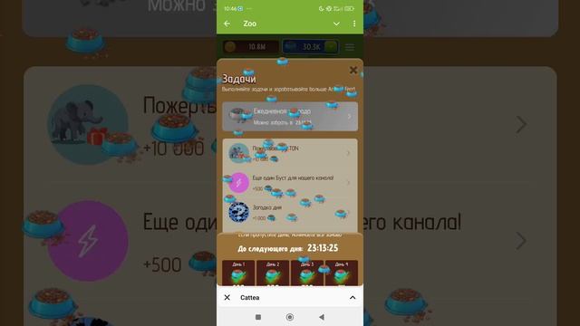 Zoo загадка дня 09.01 ребус, ежедневная награда и кормёжка. 

#zoo #загадкадня #ребус.mp4