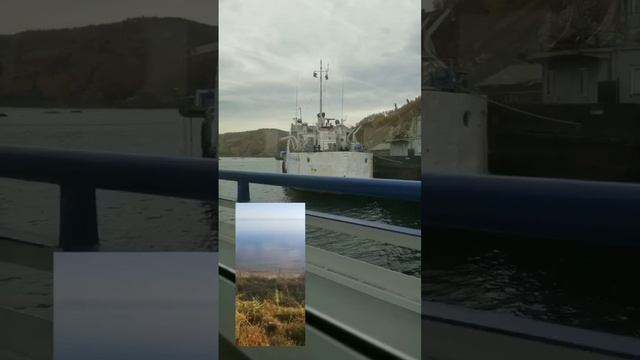 Бабушкин (2)