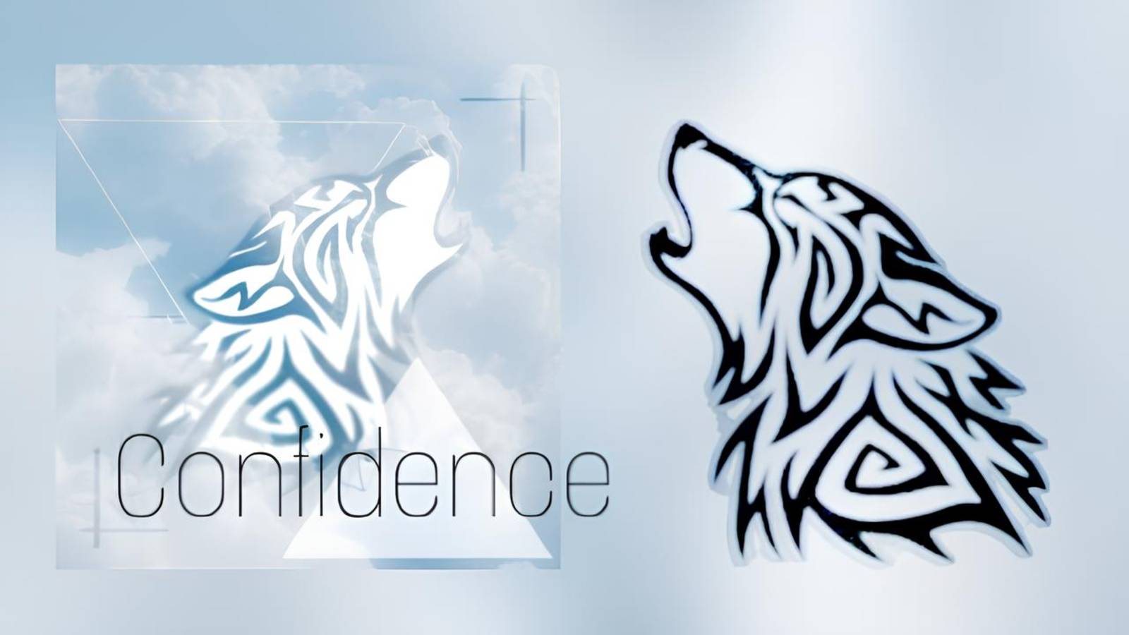 H A S K - Confidence