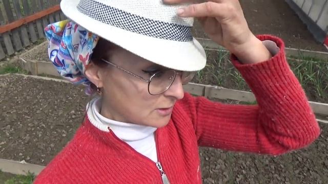 6 соток 15 мая. Высадила арбузы и дыни в грунт под пленку. Борьба с одуванчиками