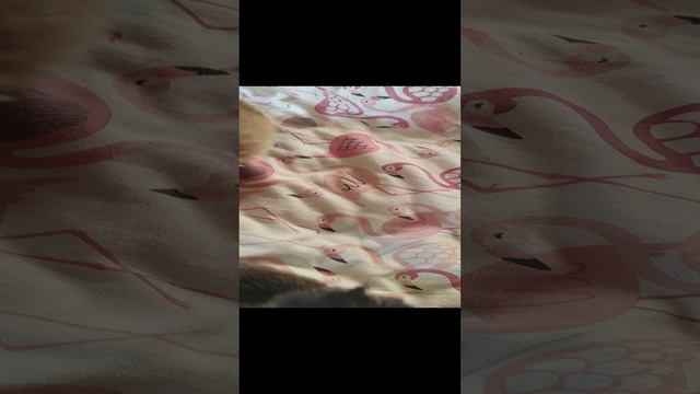 1000007142.mp4