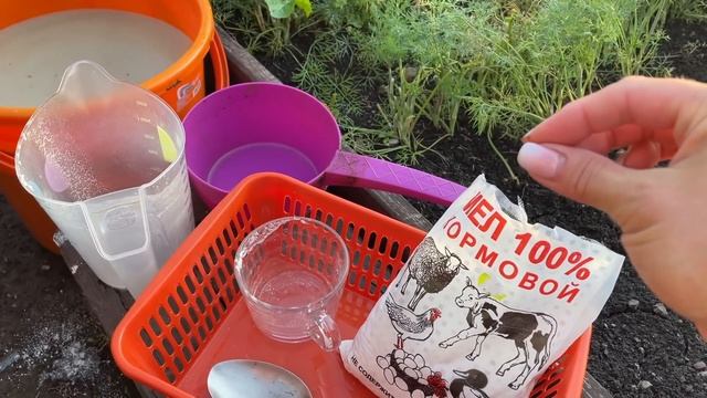 ВАЖНАЯ ПОДКОРМКА ДЛЯ ОТЛИЧНОГО ПЛОДОНОШЕНИЯ ПЕРЦА! ЗАБУДЬТЕ ПРО ВЕРШИННУЮ ГНИЛЬ!