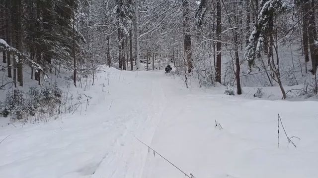 Лесные покатушки на снегокате с сыном