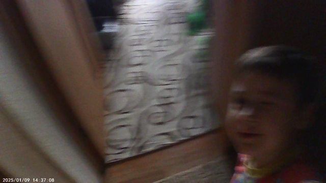 VID00002