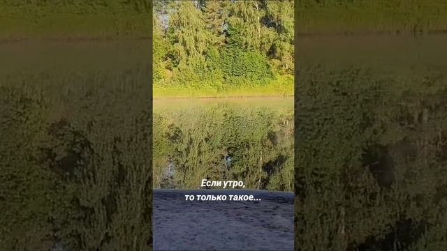 Зорька. Воспоминания прошедшего лета. ⛺✌️.