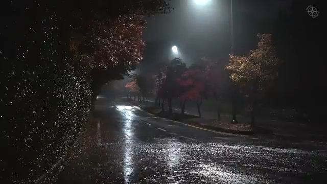 한적한 외곽도로에 내리는 부드러운 빗소리, 불면증 극복에 딱 맞는 백색소음.mp4