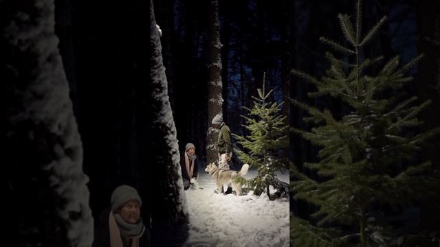 Как принять разницу возраста?