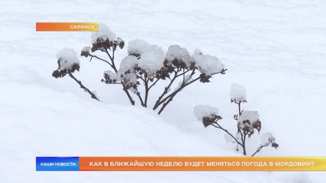 Как в ближайшую неделю будет меняться погода в Мордовии?