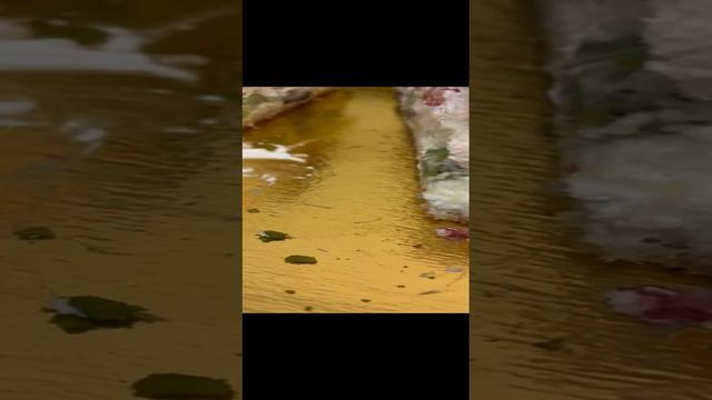 9 января 2025 года. Дегустация торта.