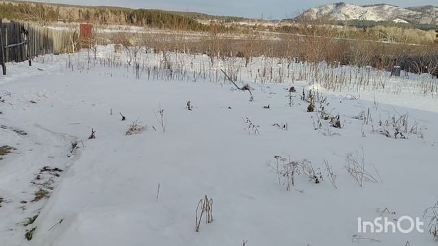 1000001185.mp4. Тест видио на сообразительность.Сад Тоторова.