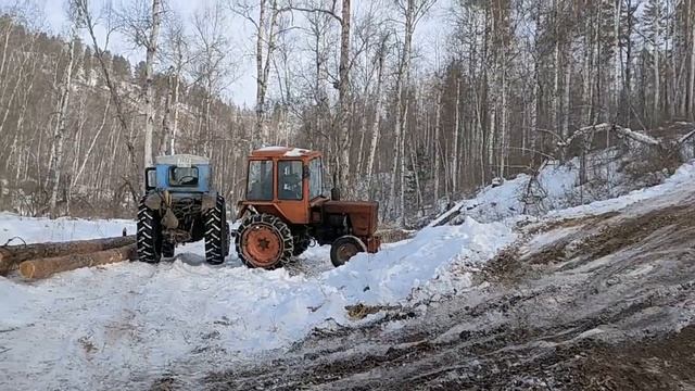 Трелевка дров через крутой спуск.