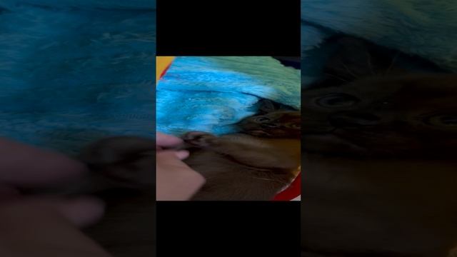 09-01-2025