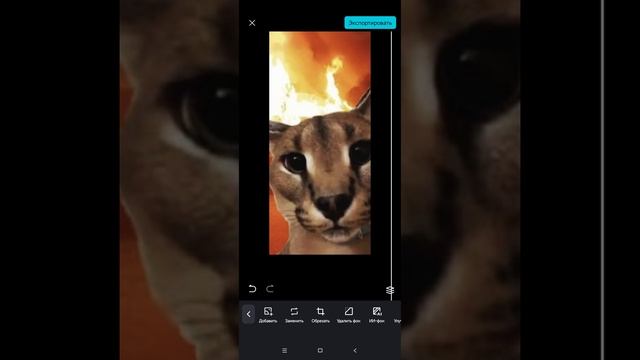 1000026120.mp4