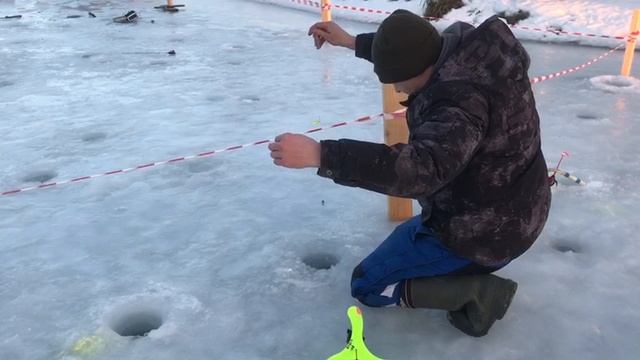 Форель на льду