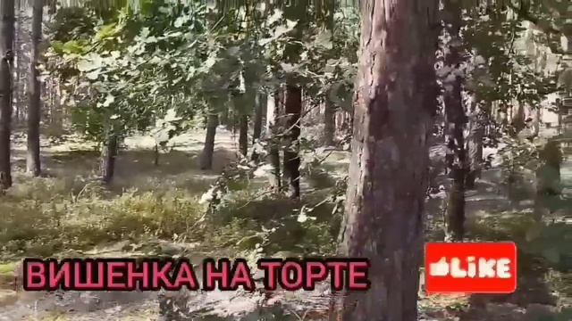 ЗАКУПИЛИСЬ НА ДВЕ СЕМЬИ! ОЛЬГА УРАЛОЧКА LIVE. ОБЗОР.