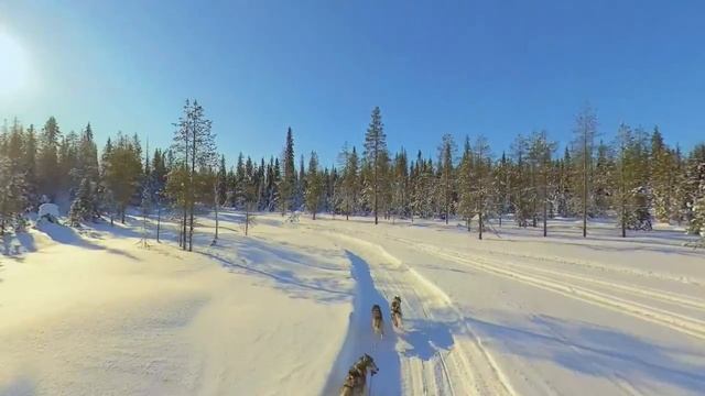 Trip to Winter Lapland, Finland. 360 video in 8K