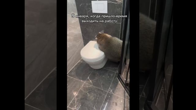 Мы все 9 января 😂😂😂