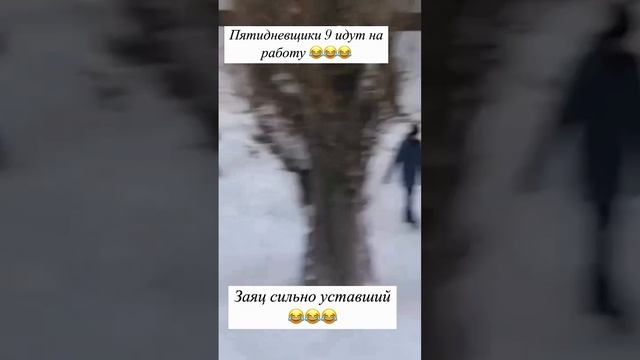 9 января на работу...