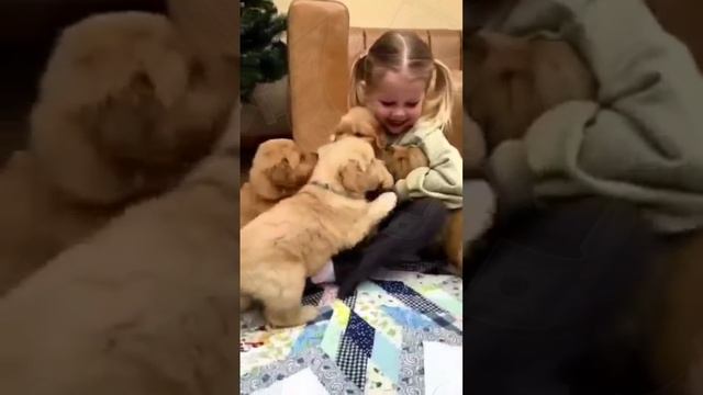 ЛАЙФХАК 👆 Смешные котики и собачки