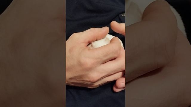 Сирийский белый хомяк и вечерние игры