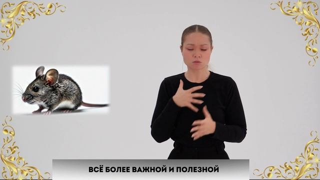 Сказка на жестовом языке «Мышонок Тимка». Цикл сказок «Просто о важном»