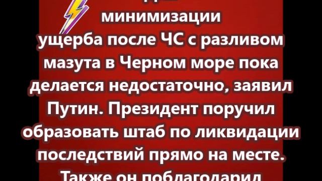 Для минимизации ущерба после ЧС с разливом мазута в Черном море пока делается недостаточно, заявил П