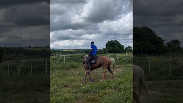 IGOR ARAGÃO BOTANDO OS CAVALO EN ORDEM E MANDA RECADO ESSA SEMANA TEM