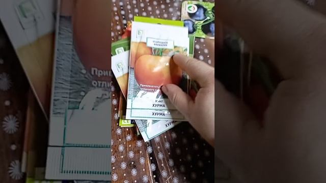 РАССКАЖУ, ЧТО ПОСАЖУ! ТОМАТЫ ДЛЯ НАЧИНАЮЩИХ! 🍅🍅🍅