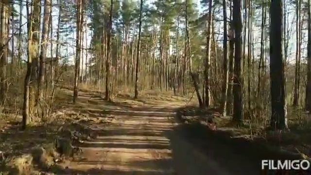 Тибетские Буддийские Практики. Посвящение 1 Ваджрасаттва, динамика. Buddhist practice. Vajrasattva