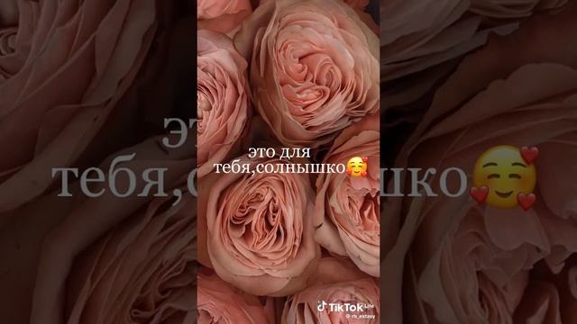 VID-20250108-WA0083.mp4