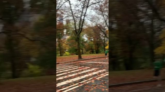 Просто красивая осень в Нью-Йорке