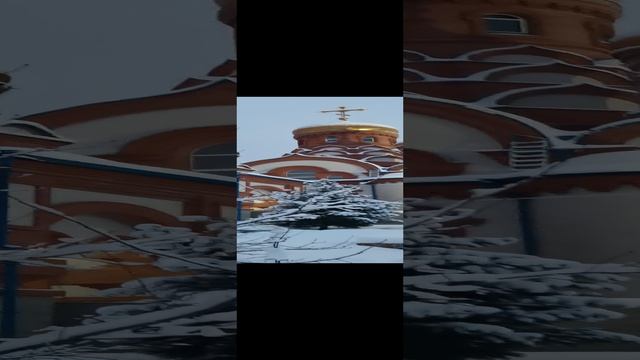VID_20250105_085016.mp4