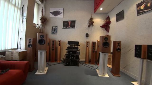 DAYENS Grande Piccolo, DAYENS Ecstasy IV Preamplifier + DAYENS Ecstasy IV se, SONY X559ES video 6