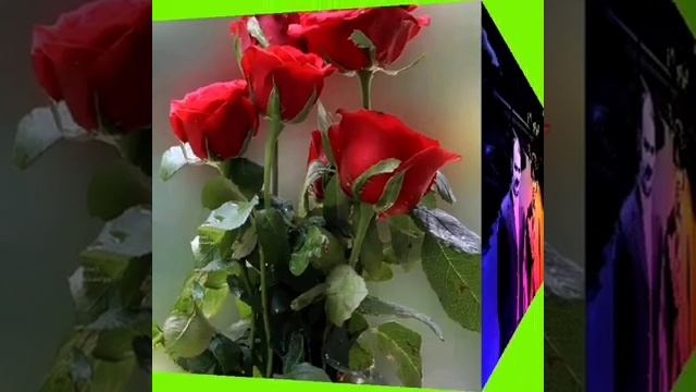 Мани Ошики хаста...✨️👍✍️☝️✨️❤️💐 шодравон Ахмад Зохир .✨️✨️✨️..mp4