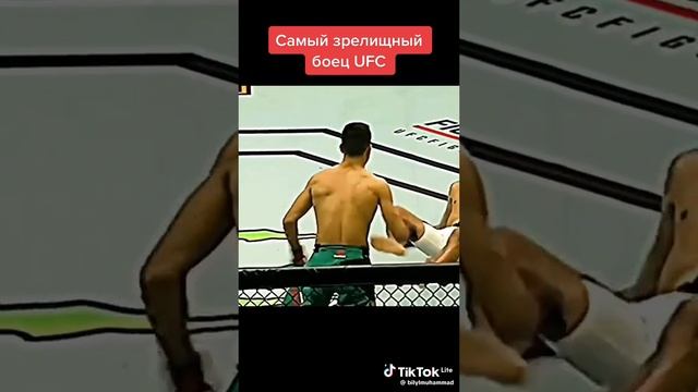 UFC зрелище