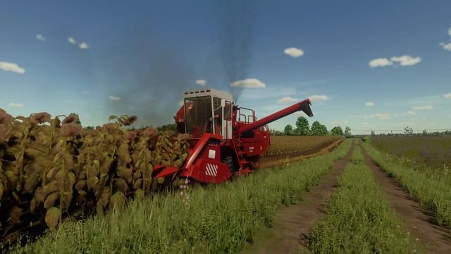 Уборка подсолнуха в Farming simulator 22