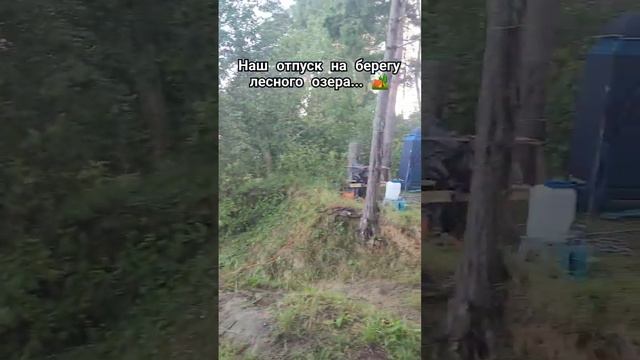 Наш недельный отдых на берегу лесного озера...