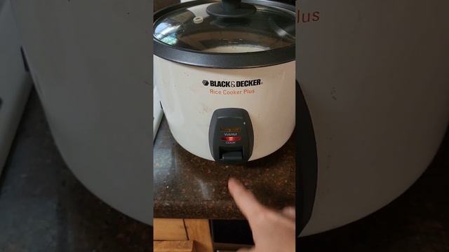 Rice Cooker Pancake part 1! #homestead #life #hacks #shorts