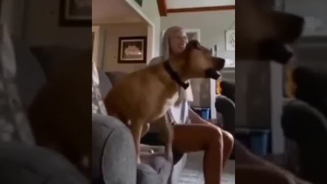 истинный фанат