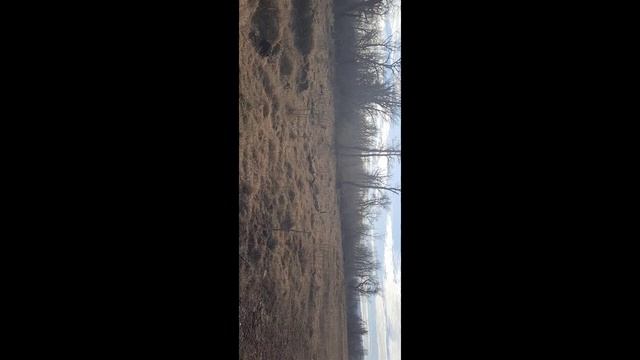 #двое с лопатой!!!
