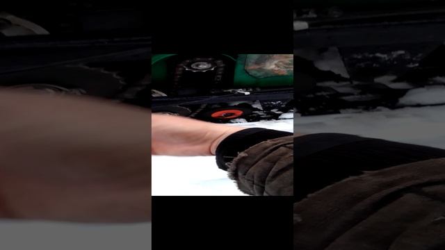 БуксЩукарь_20250104_164413.mp4