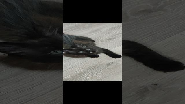 1000058065.mp4