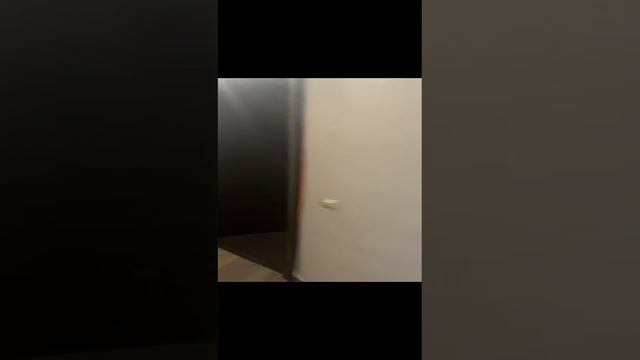 воровского