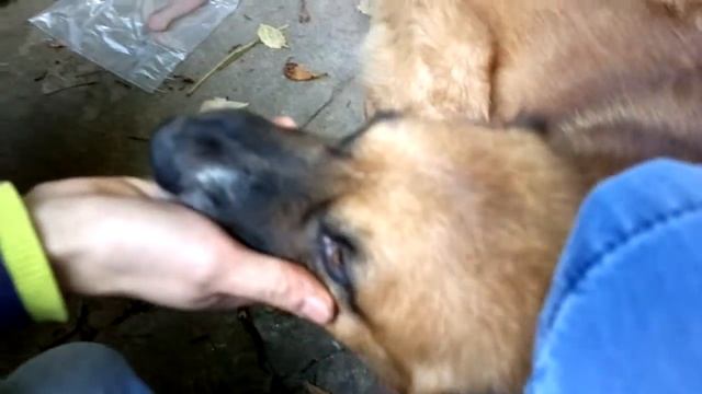 Обыкновенный обед Князя без толики пафоса