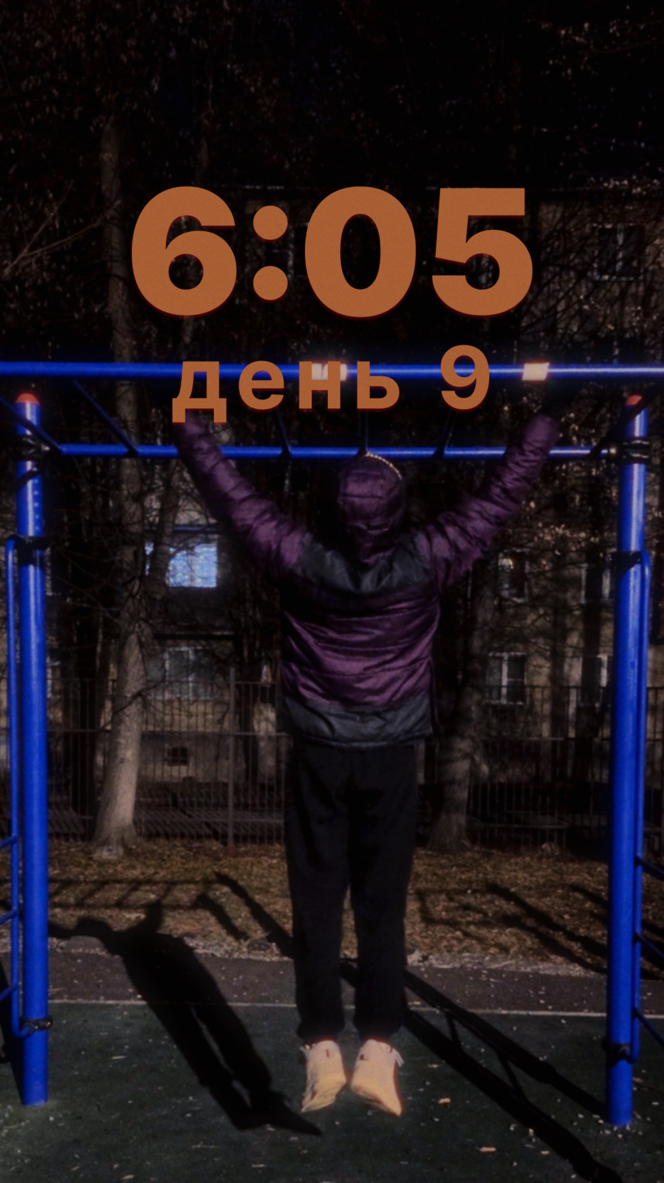 Дисциплина