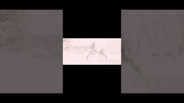 scene_output.mp4