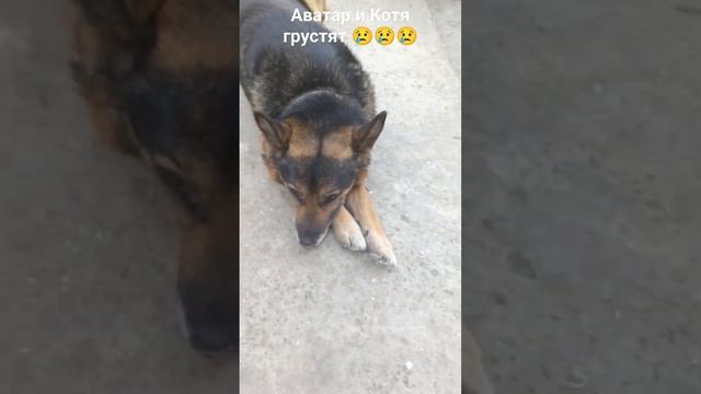 Подпишитесь и поставьте лайк чтобы Аватар был счастливым