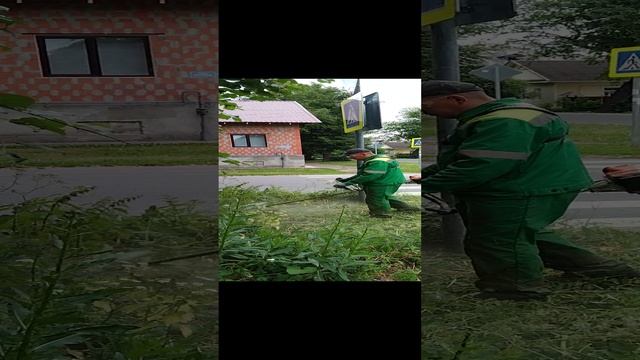 773431be-7c9b-4656-8029-5127330e6b54-1_all_50369.mp4